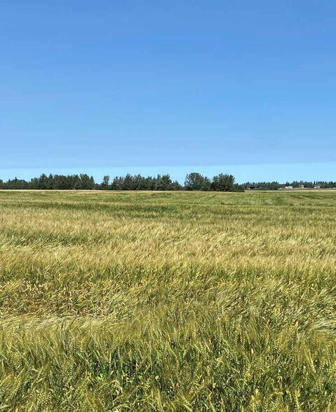 23404 Township Rd 554, Sturgeon County, AB à vendre - Photo de l’immeuble – Image 2 sur 3