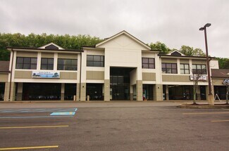 Plus de détails pour 2101 Greentree Rd, Pittsburgh, PA - Bureau, Local commercial à louer