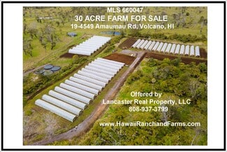 Plus de détails pour 19-4549 Amaumau Rd, Volcano, HI - Terrain à vendre
