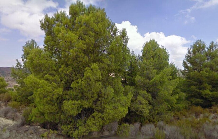 Terrain dans Lorca, Murcia à vendre - Photo de l’immeuble – Image 2 sur 3