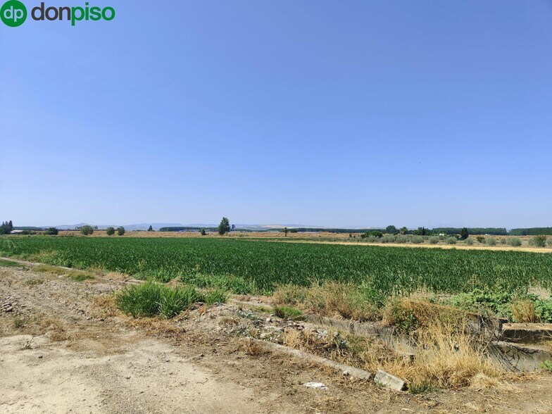 Carretera de Pinos Puente, Atarfe, Granada à vendre - Photo de l’immeuble – Image 2 sur 9