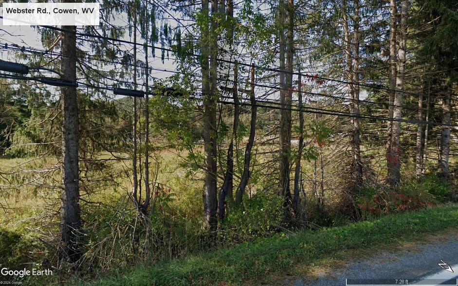 0000 Webster Rd, Cowen, WV à vendre - Autre – Image 2 sur 3