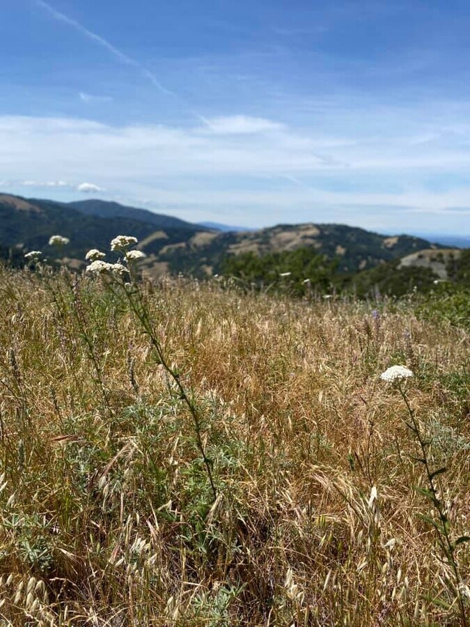 View Photo