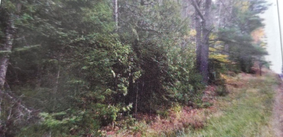 Route 43, Hudson, ME à vendre - Photo principale – Image 1 sur 1