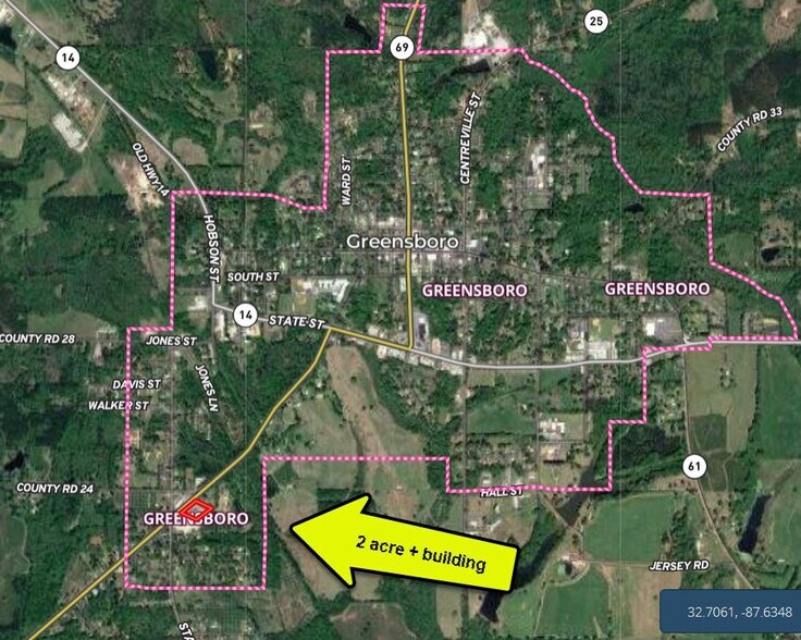 201 Demopolis St, Greensboro, AL à vendre - Photo de l’immeuble – Image 2 sur 10