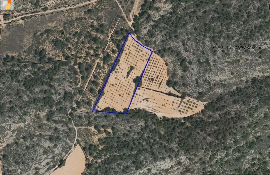 Terrain dans MURCIA à vendre - Plan de site – Image 3 sur 6