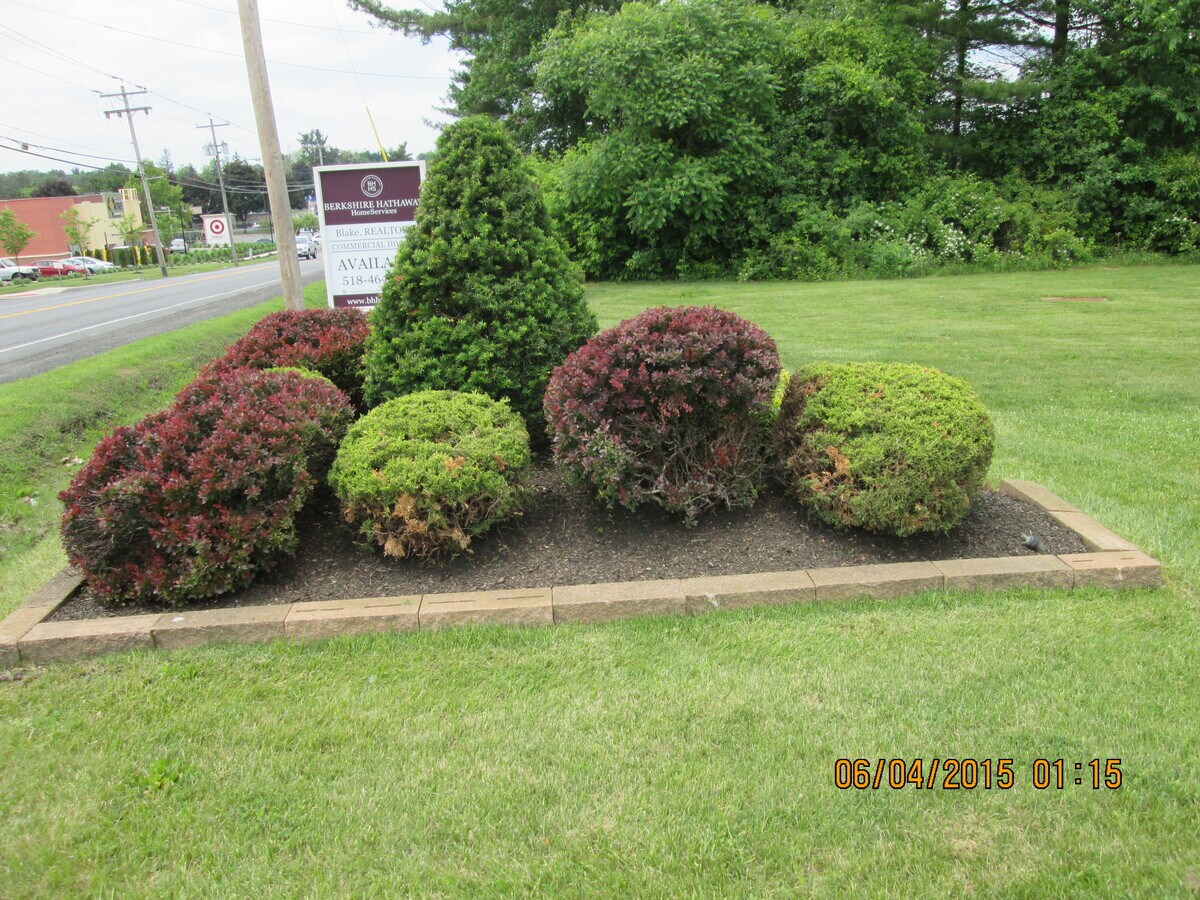 View Photo