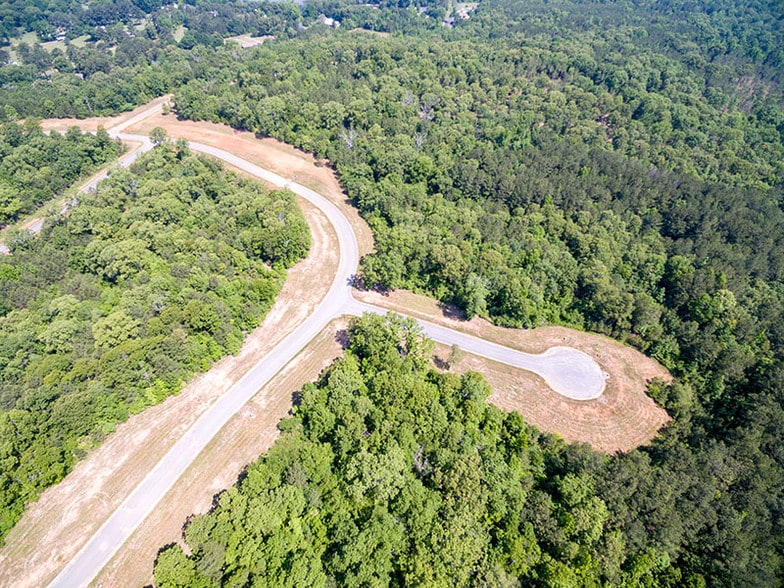 Waterside Residential Estate Lots dr, Pell City, AL à vendre - Aérien – Image 2 sur 5