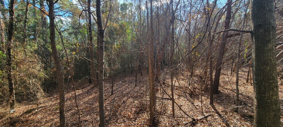 Southport Rd @ Flintridge Ct, Spartanburg, SC à vendre - Photo de l’immeuble – Image 2 sur 8