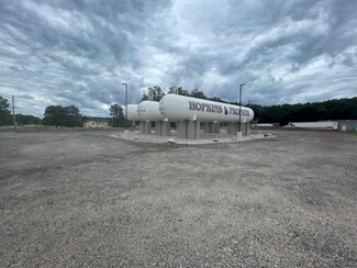 Plus de détails pour 3244 Lincoln Rd, Hamilton, MI - Terrain à vendre