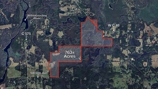 Plus de détails pour W C 48, Bushnell, FL - Terrain à vendre