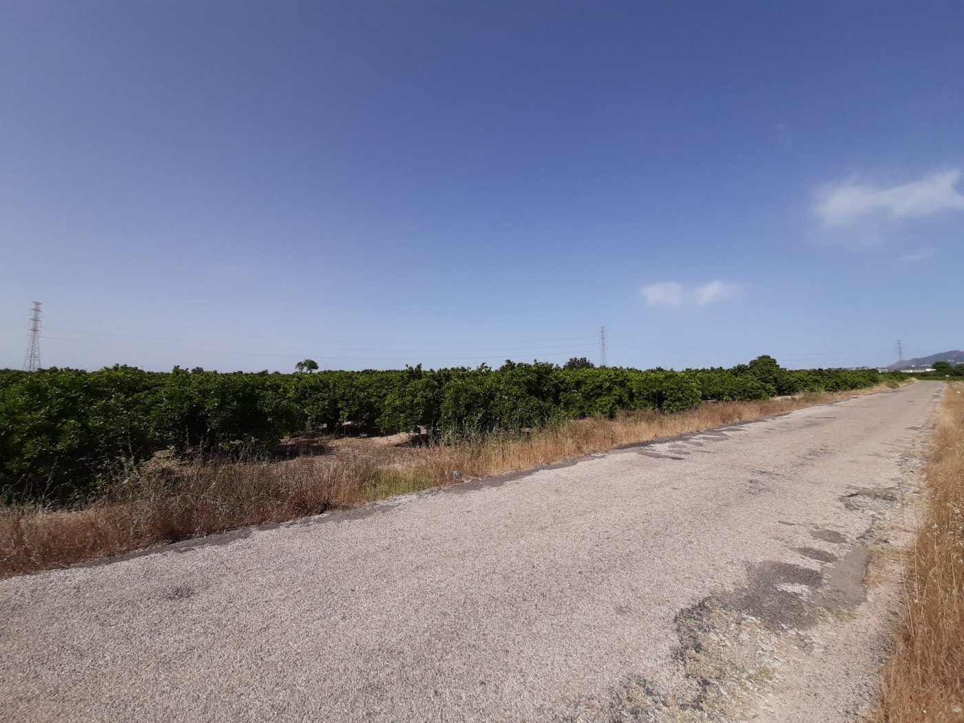 Terrain dans Alzira, Valencia à vendre Photo principale– Image 1 sur 15