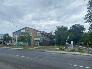 Plus de détails pour 2350-2352 Ch Herron, Dorval, QC - Bureau, Bureau/Local commercial à louer