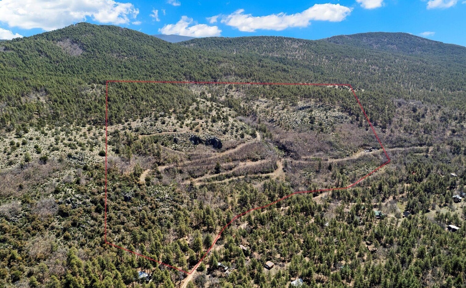 18 Mormon Lake Rd, Mormon Lake, AZ à vendre Aérien– Image 1 sur 11