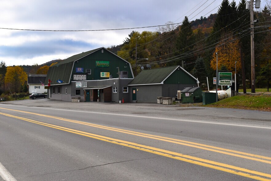 117 Main St, Hallstead, PA à vendre - Photo de l’immeuble – Image 3 sur 14