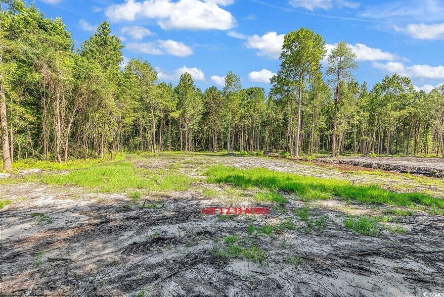 Lot 1 Coats Rd, Loris, SC à vendre - Aérien – Image 2 sur 2