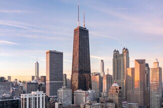 Plus de détails pour 875 N Michigan Ave, Chicago, IL - Coworking à louer