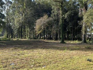 Plus de détails pour 0 Old State Rd, Holly Hill, SC - Terrain à vendre