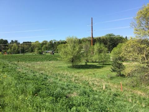 Xxx County Road 24 & 63rd Ave, Cannon Falls, MN à vendre - Autre – Image 1 sur 12