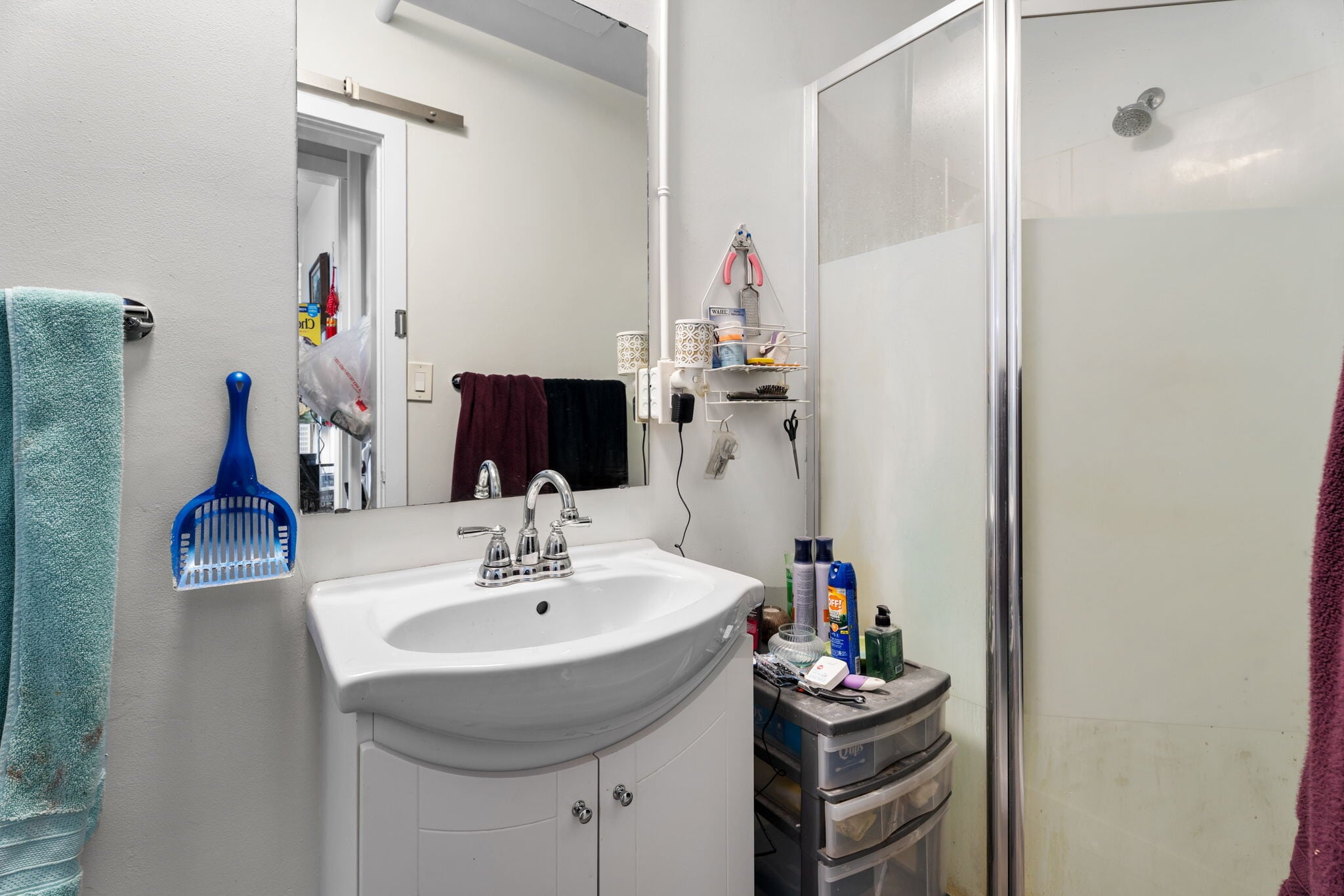 33017 1st Av, Mission, BC à louer Photo intérieure– Image 1 sur 32