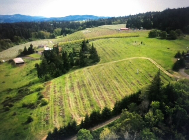 4551 Post Canyon Dr, Hood River, OR à vendre - Photo de l’immeuble – Image 2 sur 5