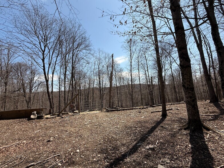 127 Blum Rd, Equinunk, PA à vendre - Photo de l’immeuble – Image 3 sur 12