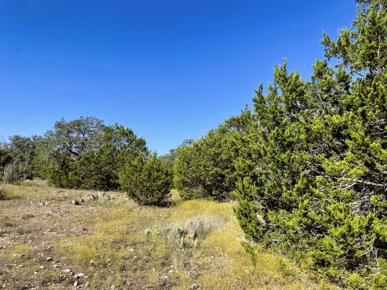 1276 Farm to Market Road 574, Mullin, TX à vendre - Photo de l’immeuble – Image 3 sur 50