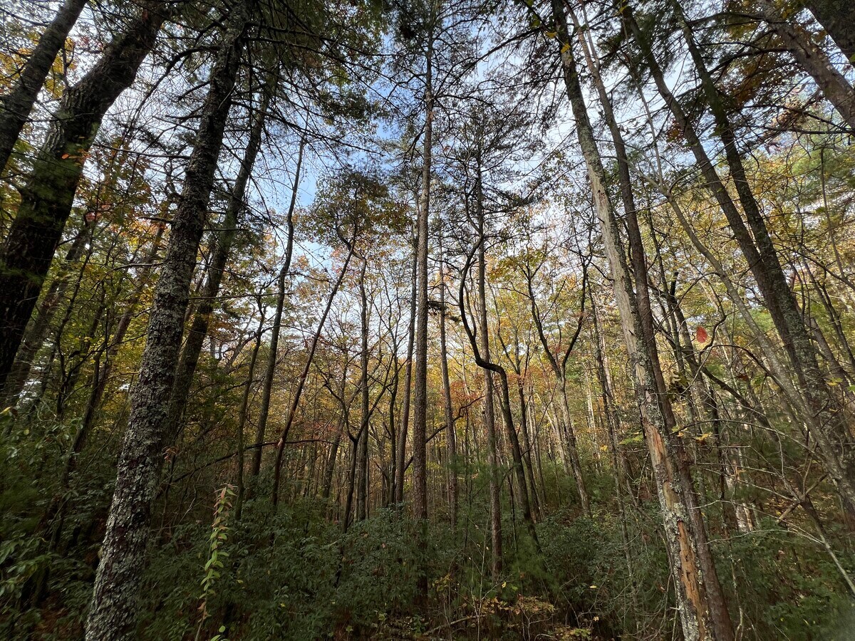 View Photo