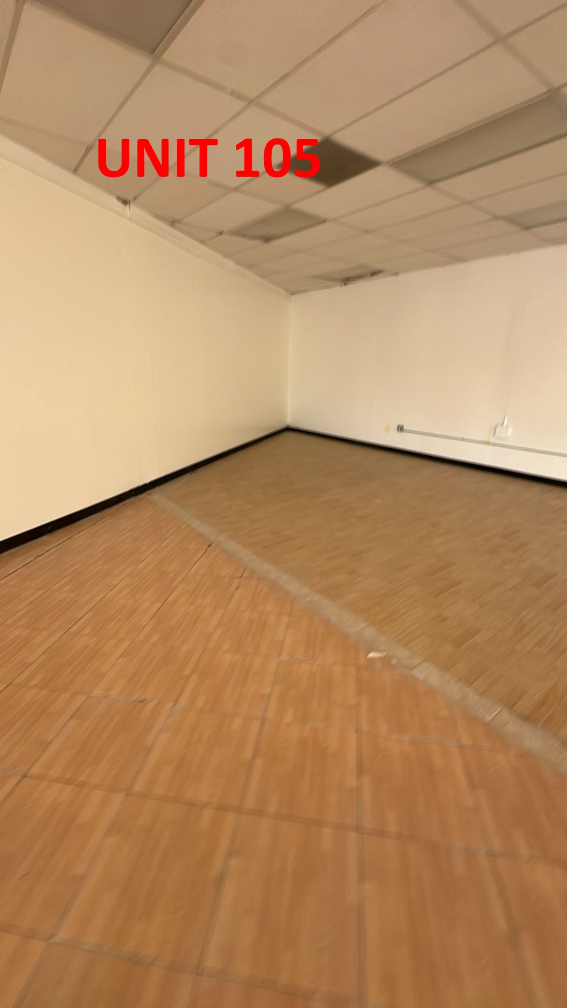 5014 E Busch Blvd, Tampa, FL à louer Photo intérieure– Image 1 sur 4