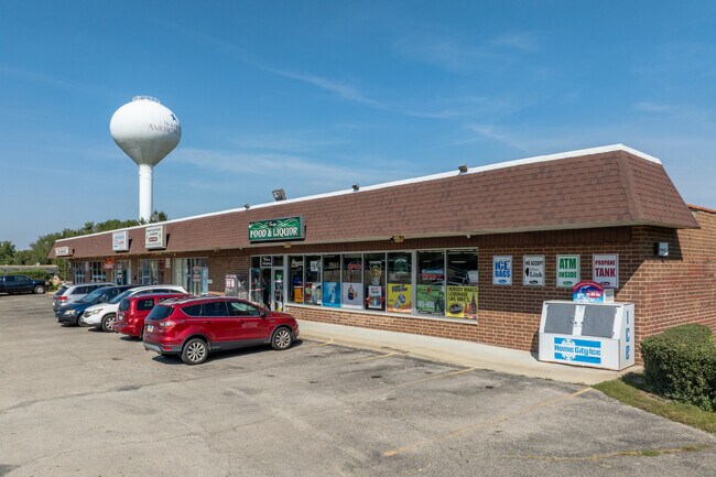Plus de détails pour 100-110 Light Rd, Oswego, IL - Local commercial à vendre