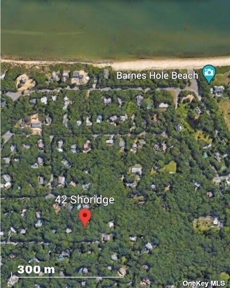 42 Shoridge, East Hampton, NY à vendre - Photo principale – Image 1 sur 3