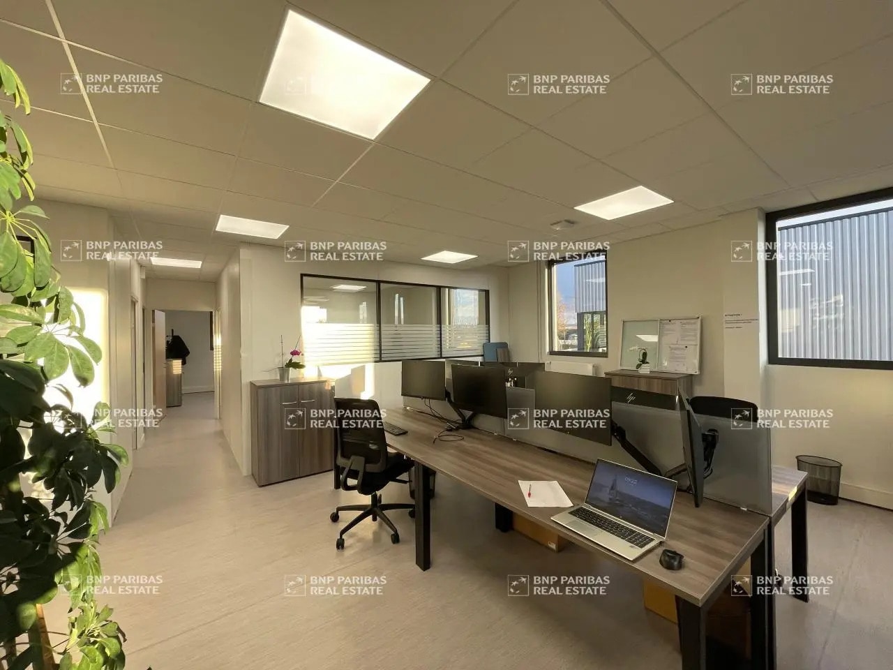 6 Rue Elisa Lemonnier, Le Petit-Quevilly à louer Photo de l’immeuble– Image 1 sur 22