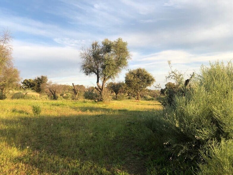 Terrain dans Aldea del Cano, Cáceres à vendre - Photo principale – Image 1 sur 1