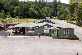 Plus de détails pour 46 Depot St, Fleischmanns, NY - Local commercial à vendre