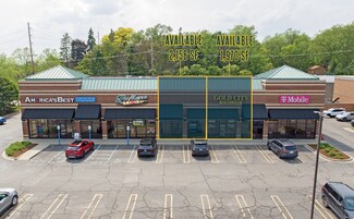 Plus de détails pour 3901-3917 Baldwin Rd, Auburn Hills, MI - Local commercial à louer