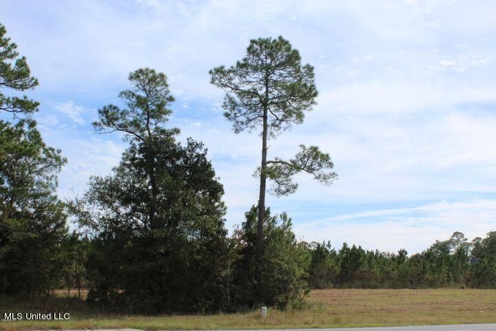2.21 Acres Tucker Rd, Vancleave, MS à vendre - Autre – Image 2 sur 7