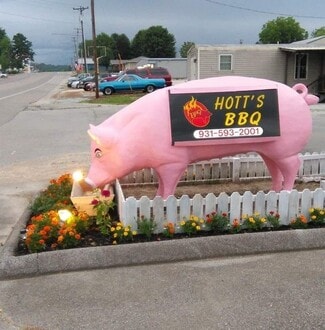 Plus de détails pour 275 S Main St, Lobelville, TN - Local commercial à vendre