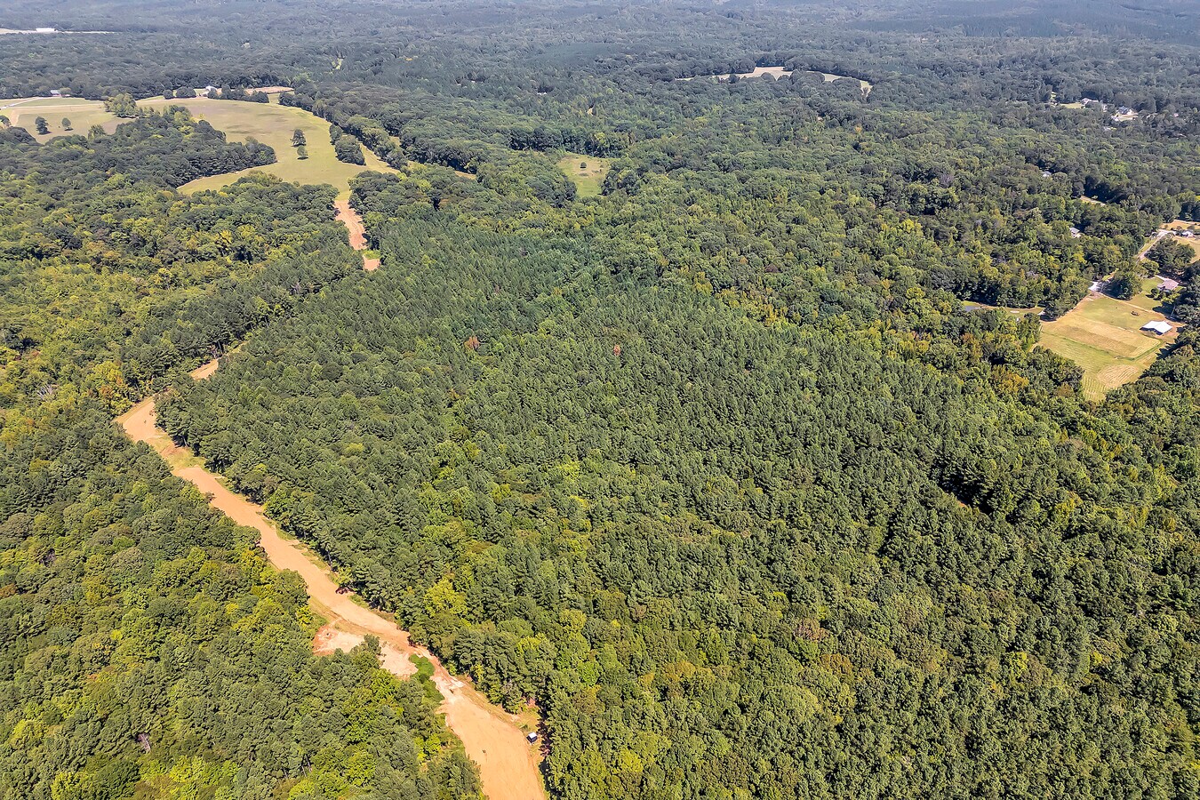 View Photo