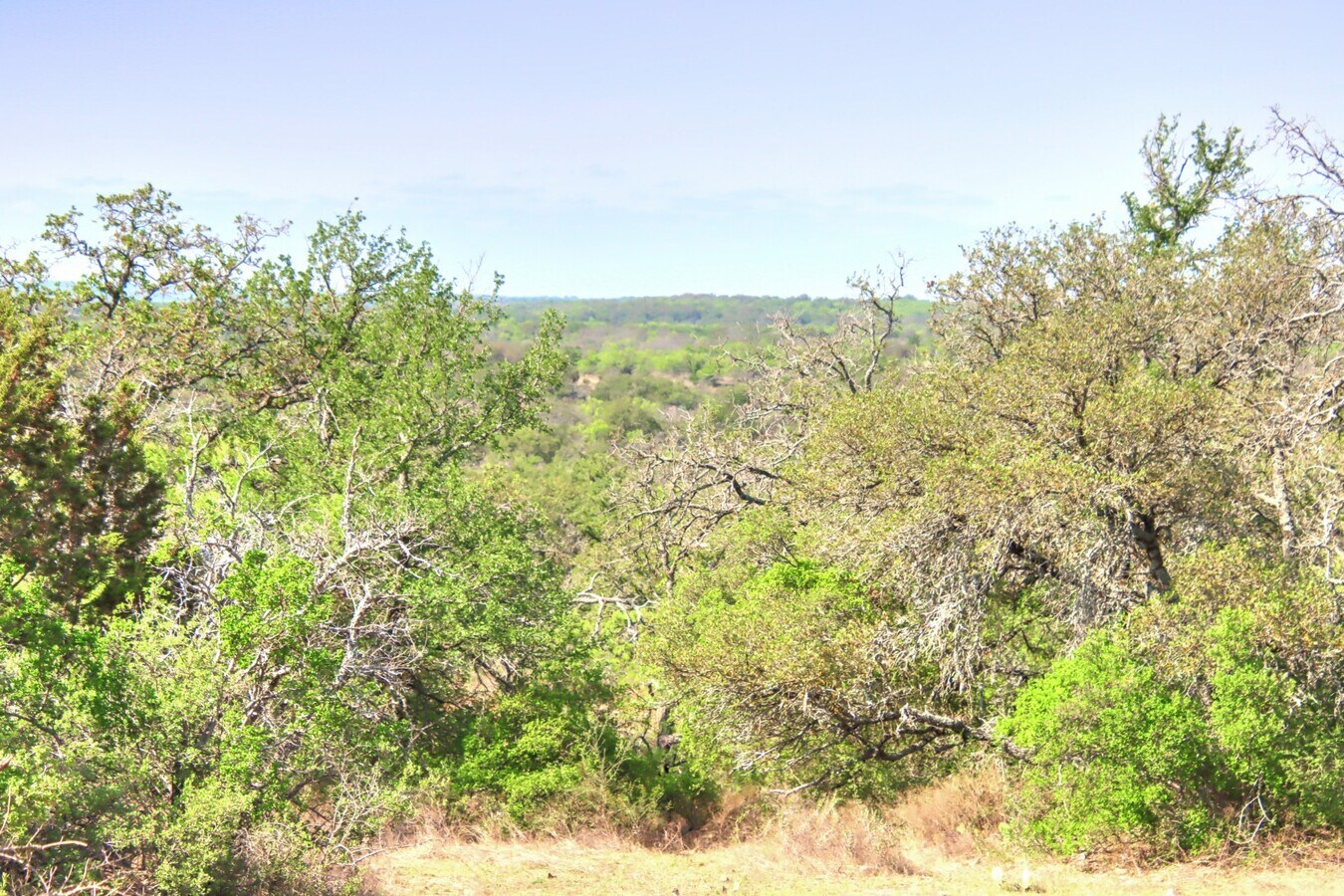 View Photo