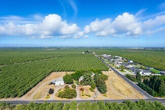 Plus de détails pour 19535 S Carrolton Ave, Ripon, CA - Terrain à vendre