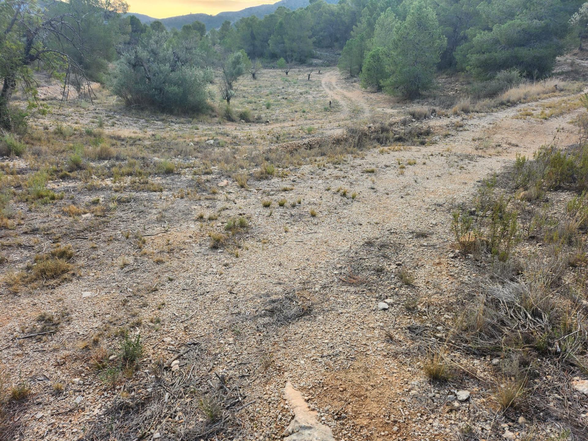 Terrain dans La Romana, Alicante à vendre Plan de site– Image 1 sur 9