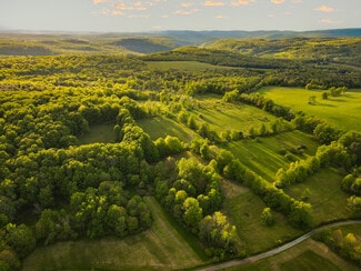 Plus de détails pour 1 Snow Hill Rd, Parksville, NY - Terrain à vendre