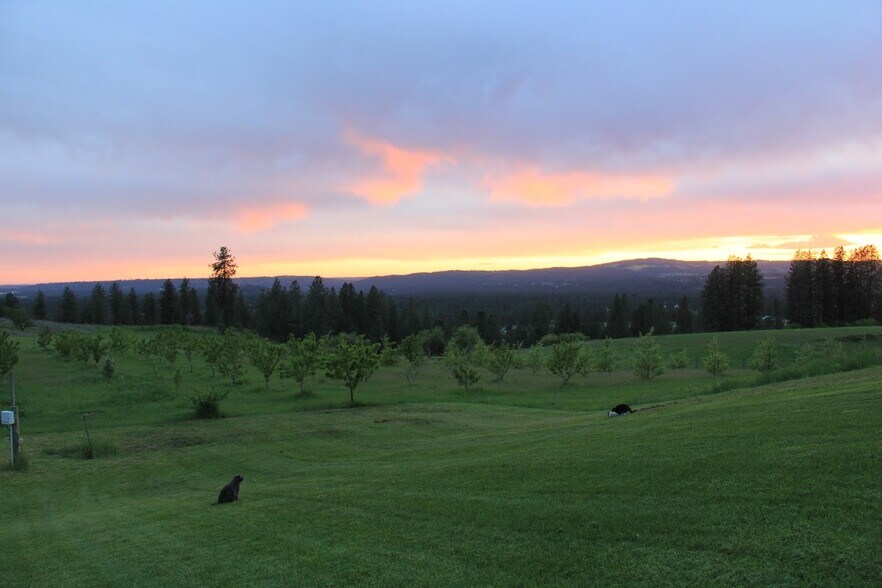 17323 N Lower Greenbluff Rd, Colbert, WA à vendre - Photo de l’immeuble – Image 3 sur 3