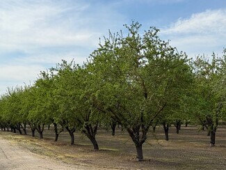 Plus de détails pour Leedom Rd, Hughson, CA - Terrain à vendre