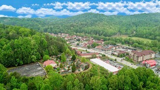 Plus de détails pour 8065 S Main St, Helen, GA - Local commercial à vendre
