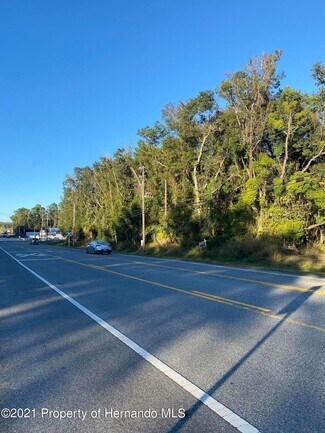 Plus de détails pour Ponce De Leon Ave, Brooksville, FL - Terrain à vendre