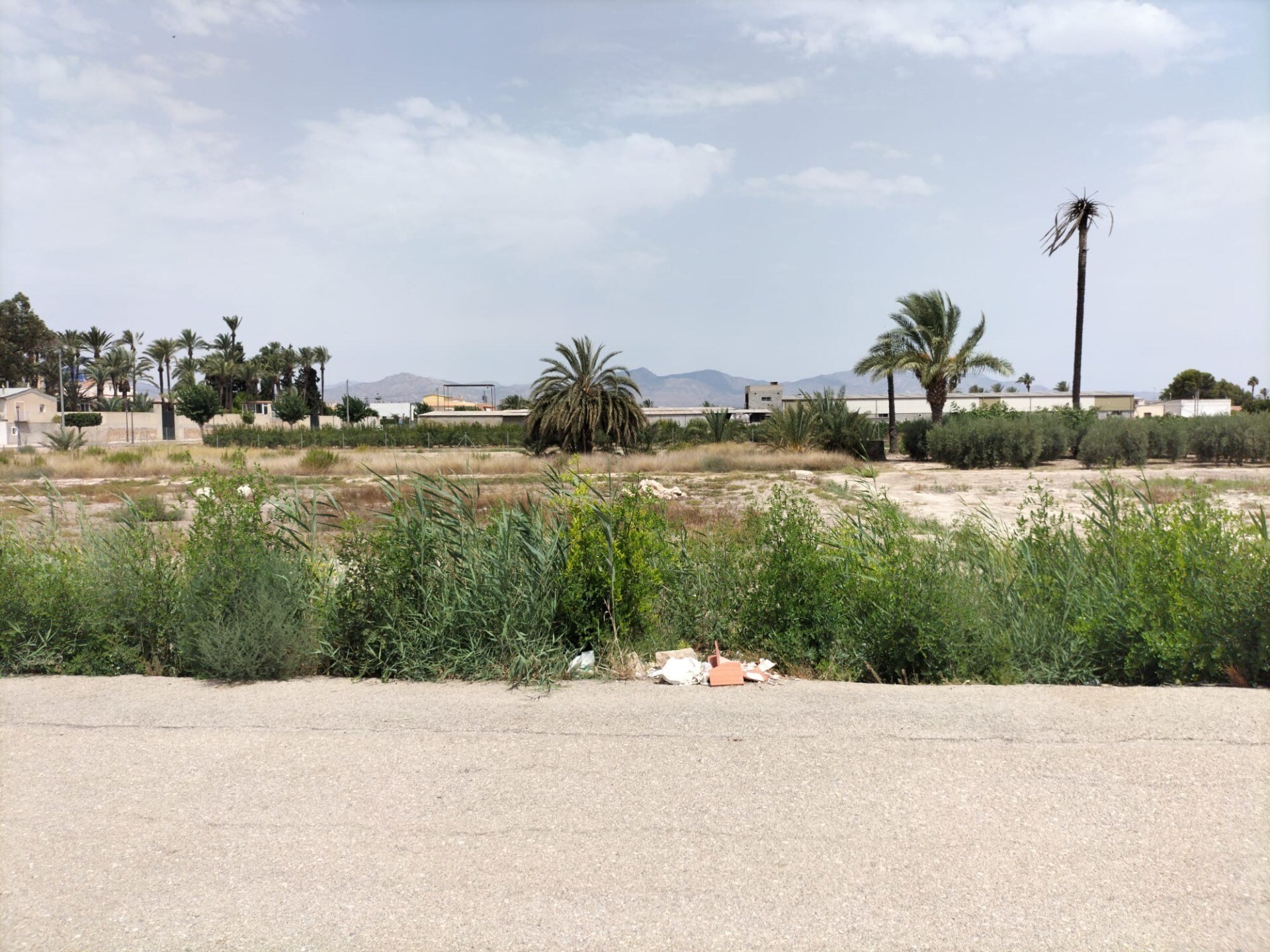 Terrain dans Cox, Alicante à vendre Photo de l’immeuble– Image 1 sur 4