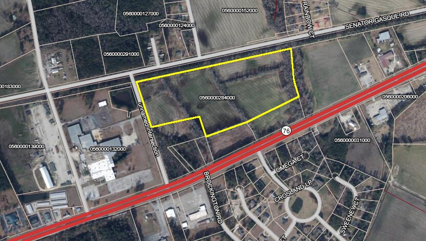 40 Acres Highway 76, Mullins, SC à vendre - Photo principale – Image 1 sur 3