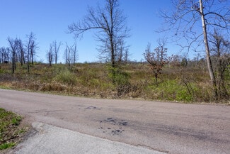 Plus de détails pour CR 8170, Newburg, MO - Terrain à vendre