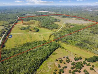 Plus de détails pour State Road 557, Lake Alfred, FL - Terrain à vendre